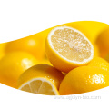 Natural Yellow Fresh Lemon Fruit For Sale